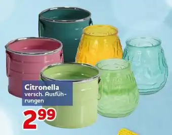 CENTERSHOP Citronella Angebot