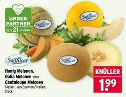 Wasgau Sanfucar Honig Melonen, Galia Melonen oder Cantaloupe Melonen Angebot