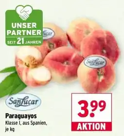 Wasgau SanLucar Paraguayos Angebot