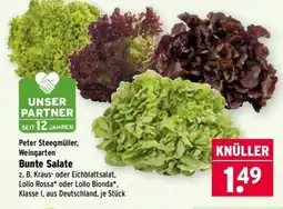 Wasgau Peter Steegmüller, Weingarten Bunte Salate Angebot