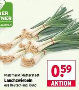 Wasgau Lauchzwiebeln Angebot