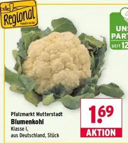 Wasgau Blumenkohl Angebot