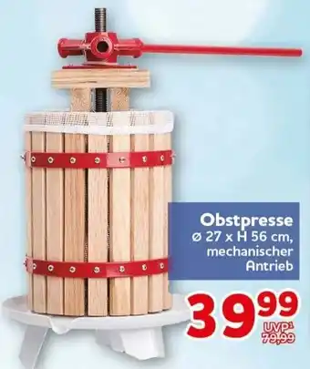 CENTERSHOP Obstpresse Angebot