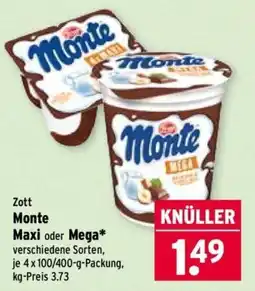 Wasgau Zott Monte Maxi oder Mega* Angebot
