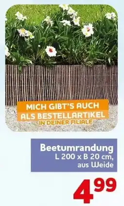 CENTERSHOP Beetumrandung Angebot