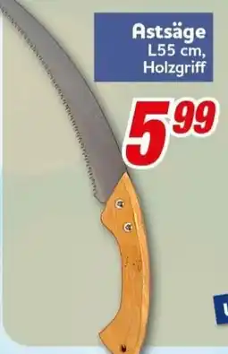 CENTERSHOP Astsäge Holzgriff Angebot