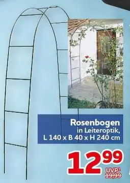 CENTERSHOP Rosenbogen in Leiteroptik Angebot