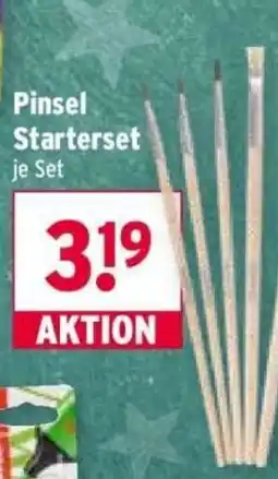 Wasgau Pinsel Starterset Angebot