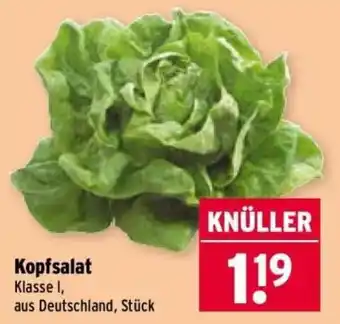 Wasgau Kopfsalat Angebot