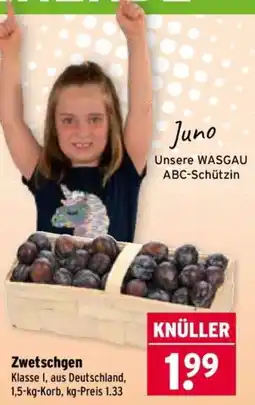 Wasgau KNÜLLER Zwetschgen Angebot