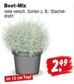 Repo Markt Beet-Mix Angebot