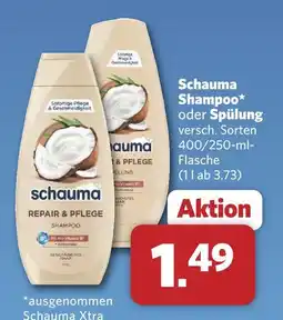Combi Schauma shampoo Angebot