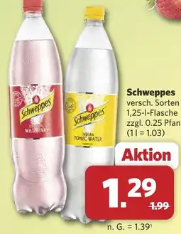 Combi Schweppes wild berry Angebot