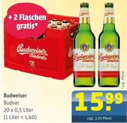 Getränke Arena Budweiser budvar Angebot