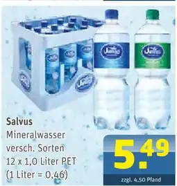 Getränke Arena Salvus mineralwasser Angebot