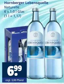 Getränkewelt Hornberger lebensquelle naturelle Angebot