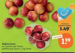 tegut Nektarinen Angebot