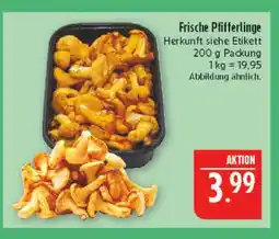 Marktkauf Pfifferlinge Angebot