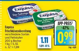 diska Exquisa frischkäsezubereitung Angebot
