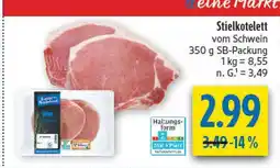 diska Stielkotelett Angebot