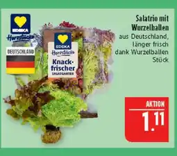 Marktkauf Edeka herzstücke salatrio Angebot