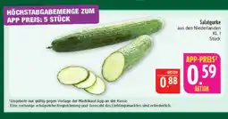 Marktkauf Salatgurke Angebot