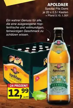 Lösch Depot APOLDAER Spezial Pils Domi Angebot