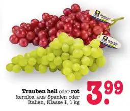 Scheck-in-Center Trauben hell oder rot Angebot