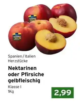 CAP Markt Nektarinen oder Pfirsiche gelbfleischig Angebot