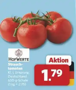 Combi Strauchtomaten Angebot