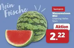 Combi Wassermelonen Mini Angebot