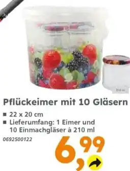 Globus Baumarkt Pflückeimer mit 10 Gläsern Angebot