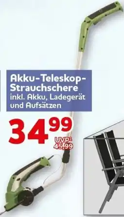 CENTERSHOP Akku-Teleskop Strauchschere Angebot