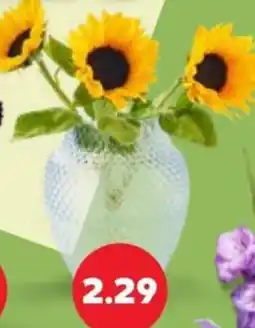 Kaufland Sonnenblumen Angebot