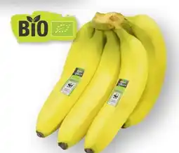 Scheck-in-Center Edeka Bio Bio-Bananen Angebot