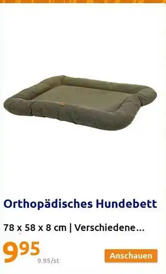 Action Orthopädisches Hundebett Angebot