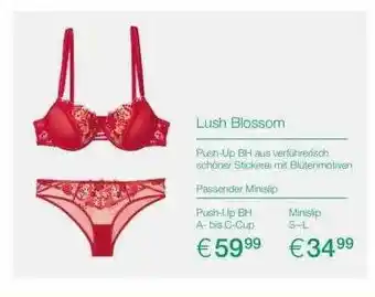 Palmers Lush Blossom Push-up BH Oder Minislip Angebot