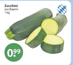 V Markt Zucchini Angebot