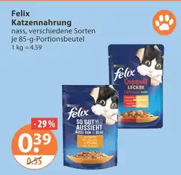 V Markt Felix katzennahrung Angebot