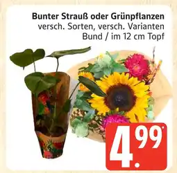 Marktkauf Bunter strauß Angebot