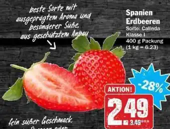 dodenhof Spanien Erdbeeren Angebot