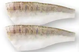 Scheck-in-Center Zanderfilet Angebot