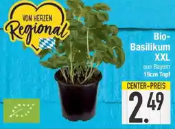 E-Center Bio Basilikum XXL Angebot