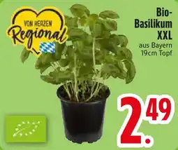 Edeka Bio Basilikum XXL Angebot