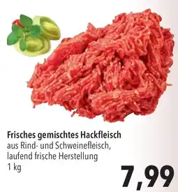 CITTI Markt Frisches gemischtes Hackfleisch Angebot