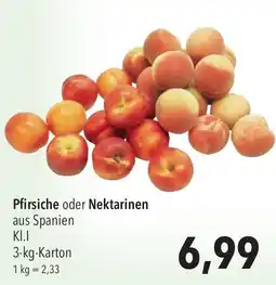 CITTI Markt Pfirsiche oder Nektarinen Angebot