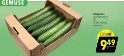 CITTI Markt Salatgurken Angebot