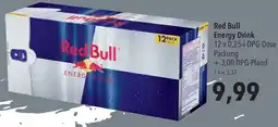 CITTI Markt Red Bull Energy Drink Angebot