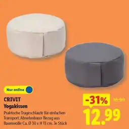 Lidl CRIVIT Yogakissen Angebot
