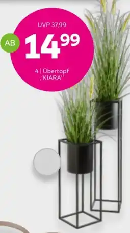 Mömax Übertopf 'KIARA' Angebot